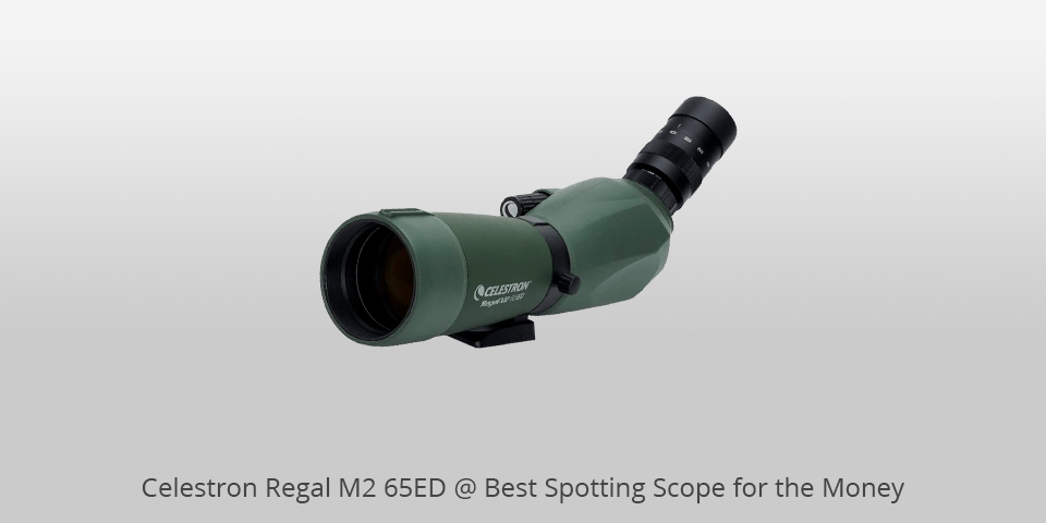 spotting scope for the money celestron m2
